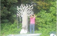 NEWS – Tin Forest and Steel Memory Tree