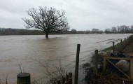 NEWS- Flooding on the Green Fingers Site