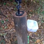 Microscope- part of our Nature Trail