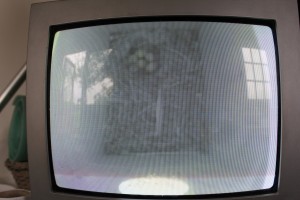 Screen attached to nest box camera.