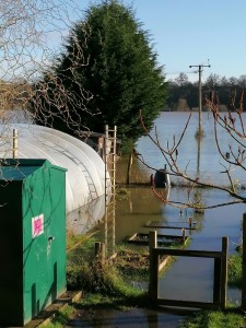flooded allotment view from treehouse