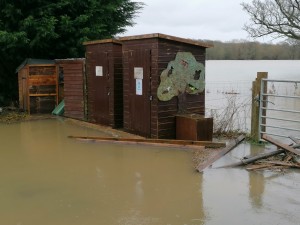 flooded toilets close up