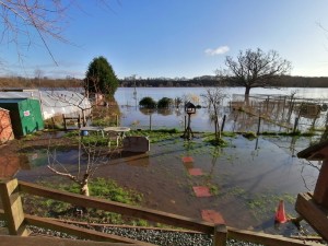 flooded upto treehouse 1